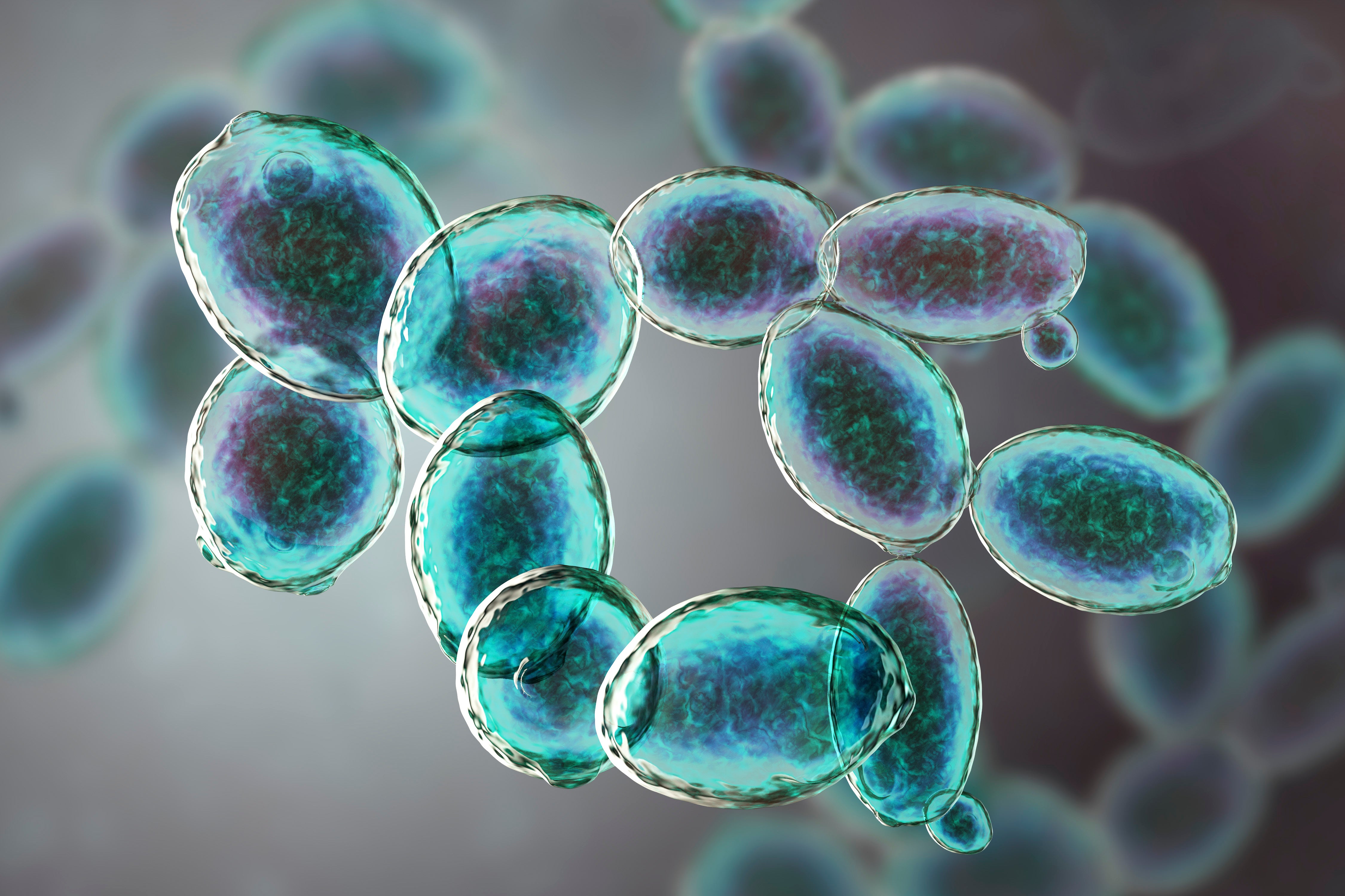 You can’t see them, but they’re all around you