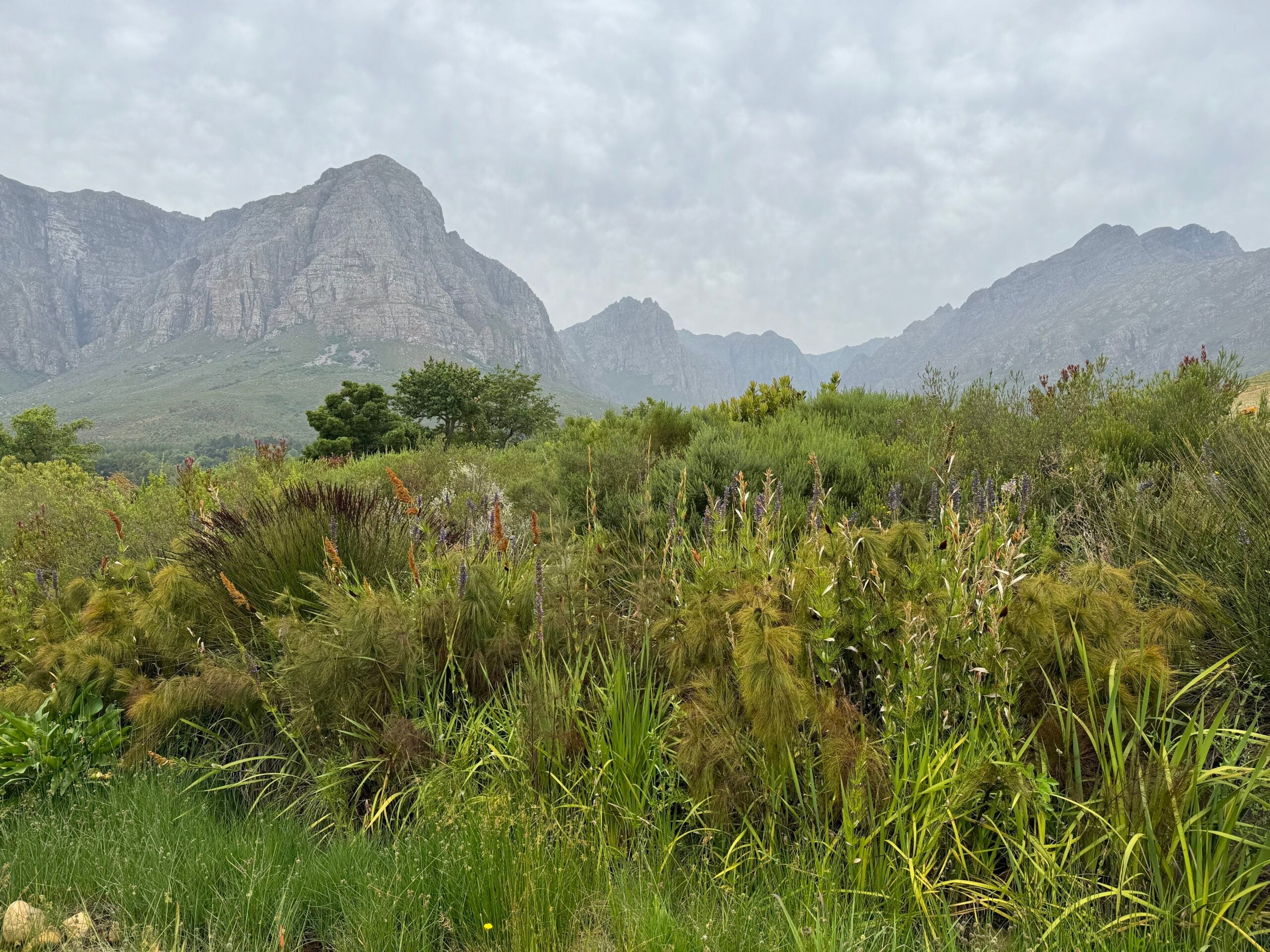 Are you a Lumper or a Splitter?