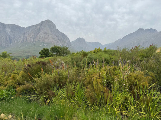 Are you a Lumper or a Splitter?