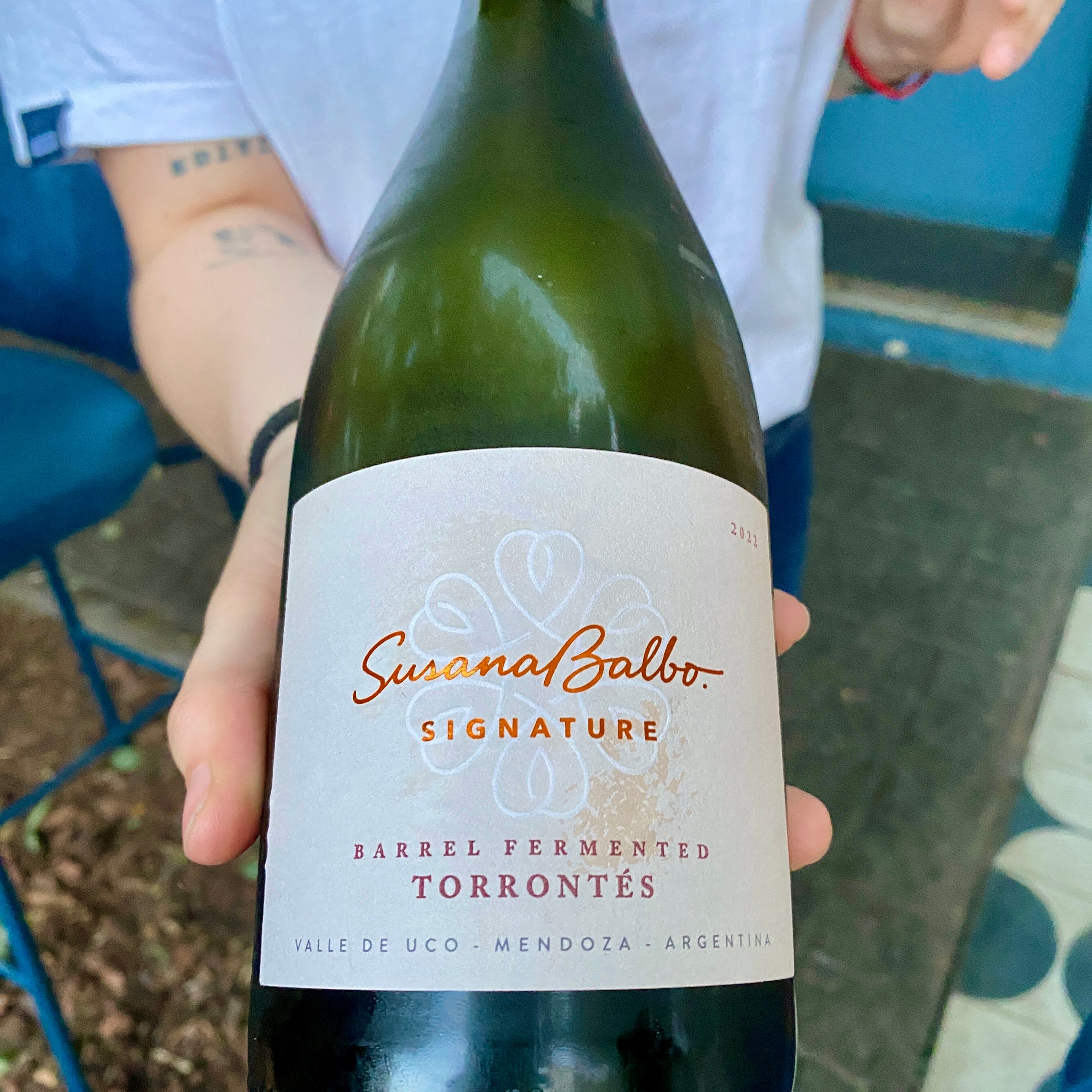 White hot: Argentina’s white wines are getting noticed