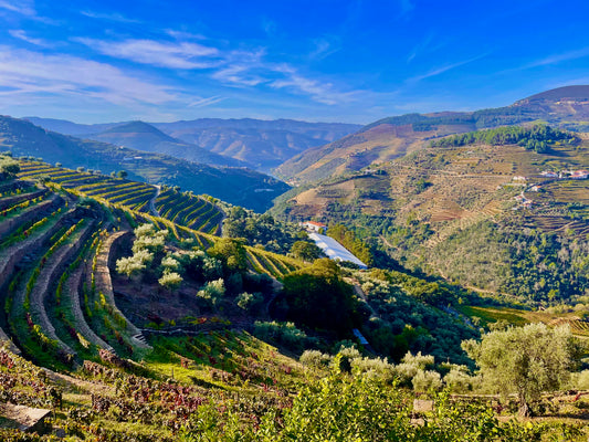 Why the Douro Valley should be on every wine lover’s wish list