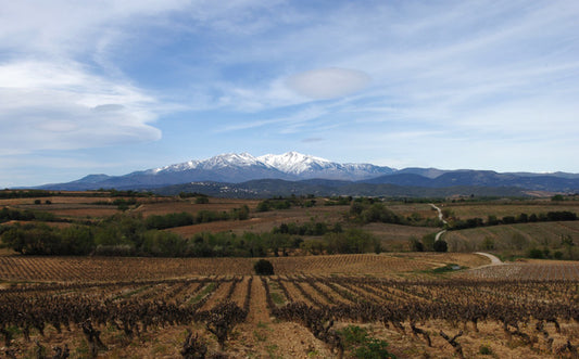 New Kids on the Roussillon Block…