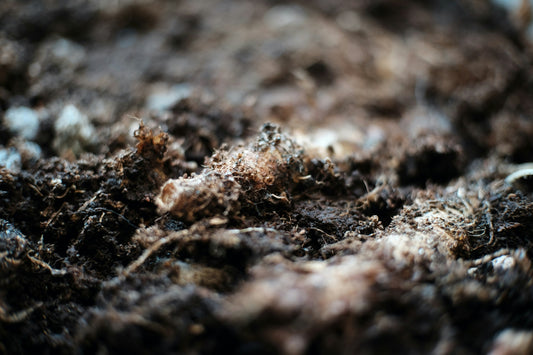The goodness of the soil