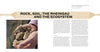 Riesling Weil book spread
