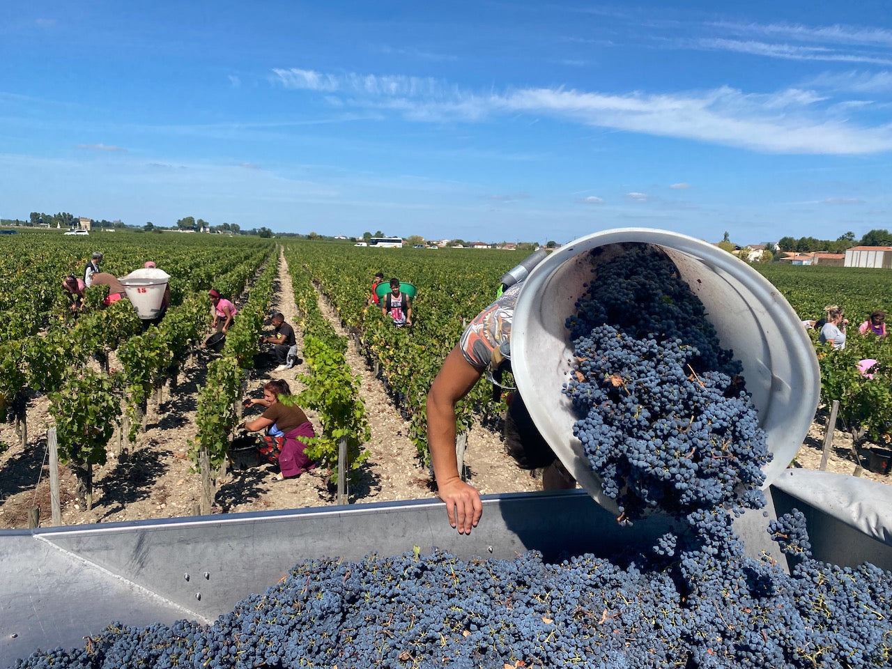 Bordeaux 2022 – not the vintage of the century but a remarkable year