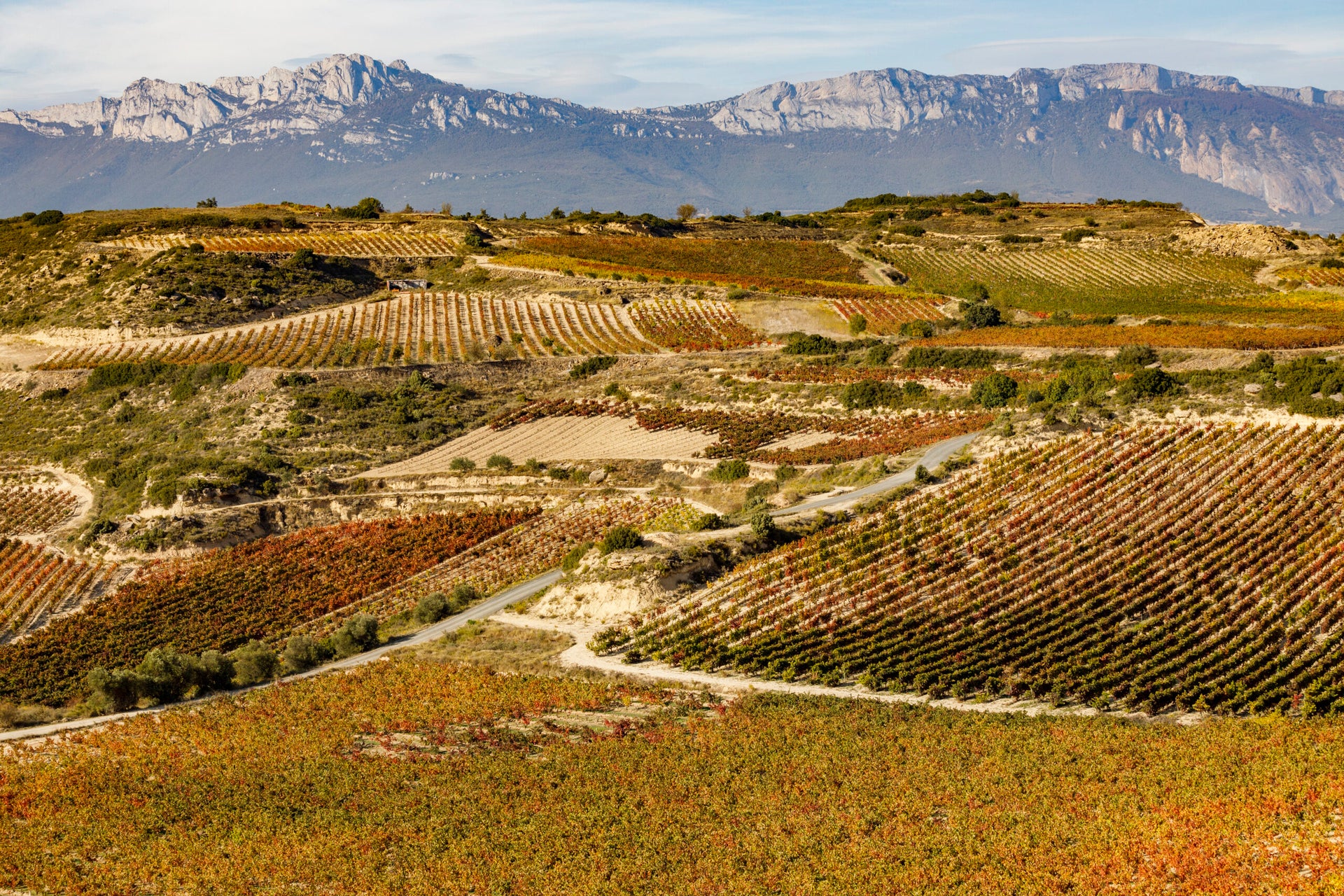 Rioja Vine Sainsbury's Bakeder Rioja Red Wine, Taste The Difference