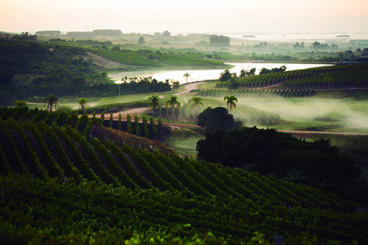 Bodega Garzón – Uruguay’s Icon Winery