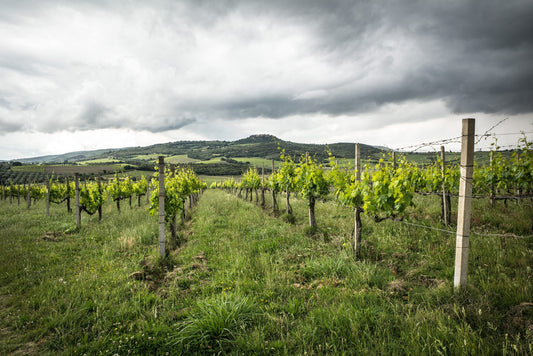 Tuscany: Cloud over Montalcino