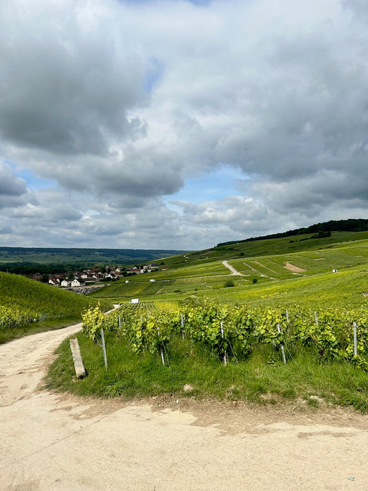 The Cumière region in France