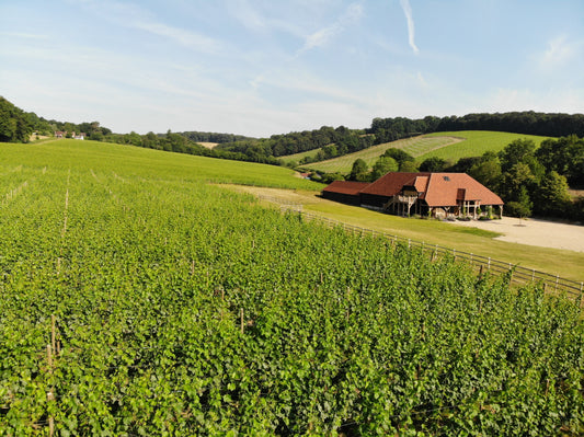 100 Hills Winery finds pure terroir in the English hills
