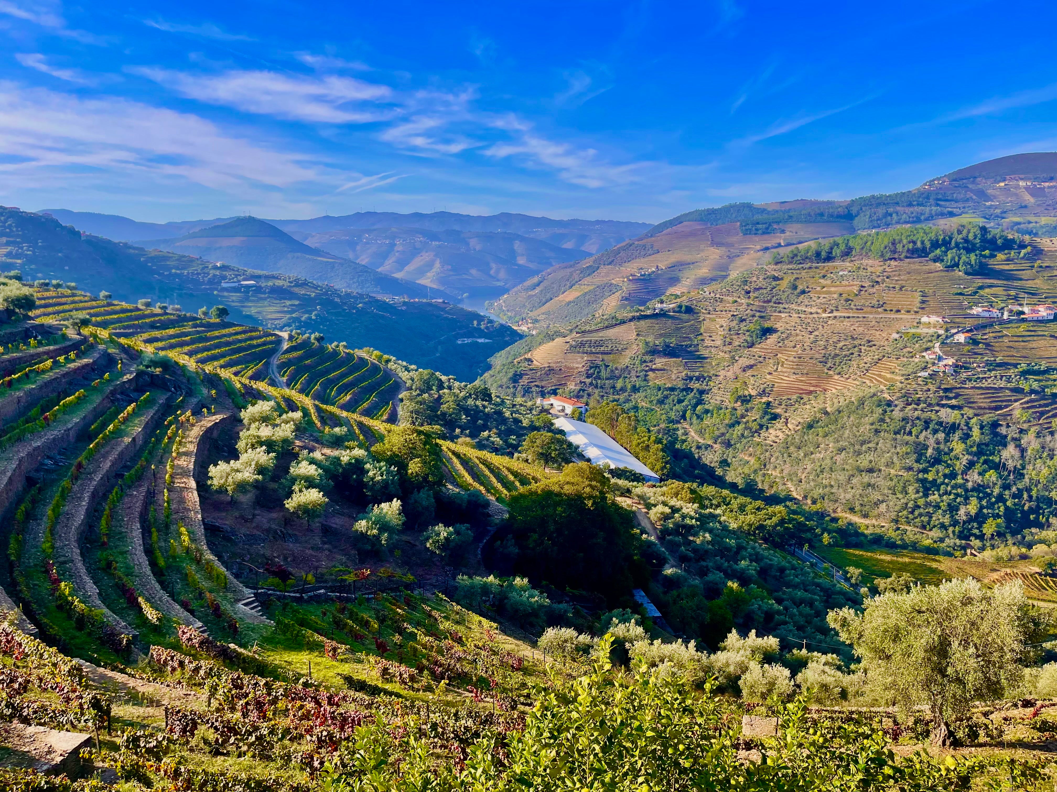 Why the Douro Valley should be on every wine lover’s wish list