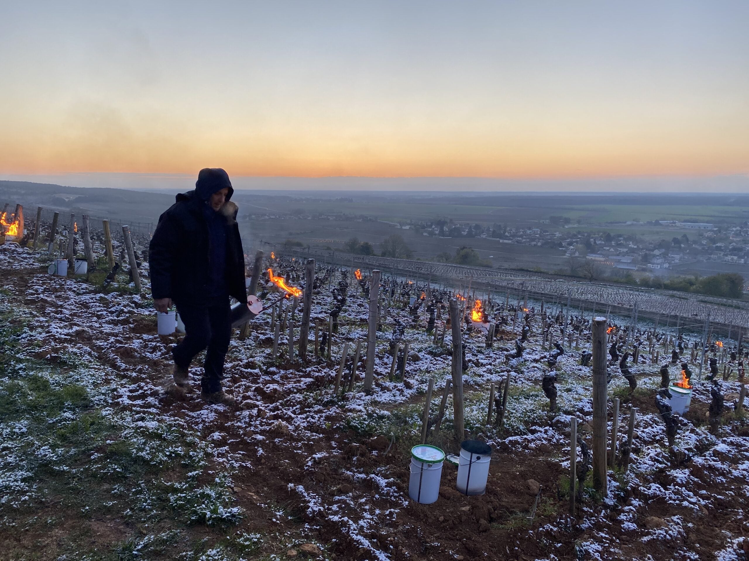 Burgundy 2021 – The Terroir Will Out