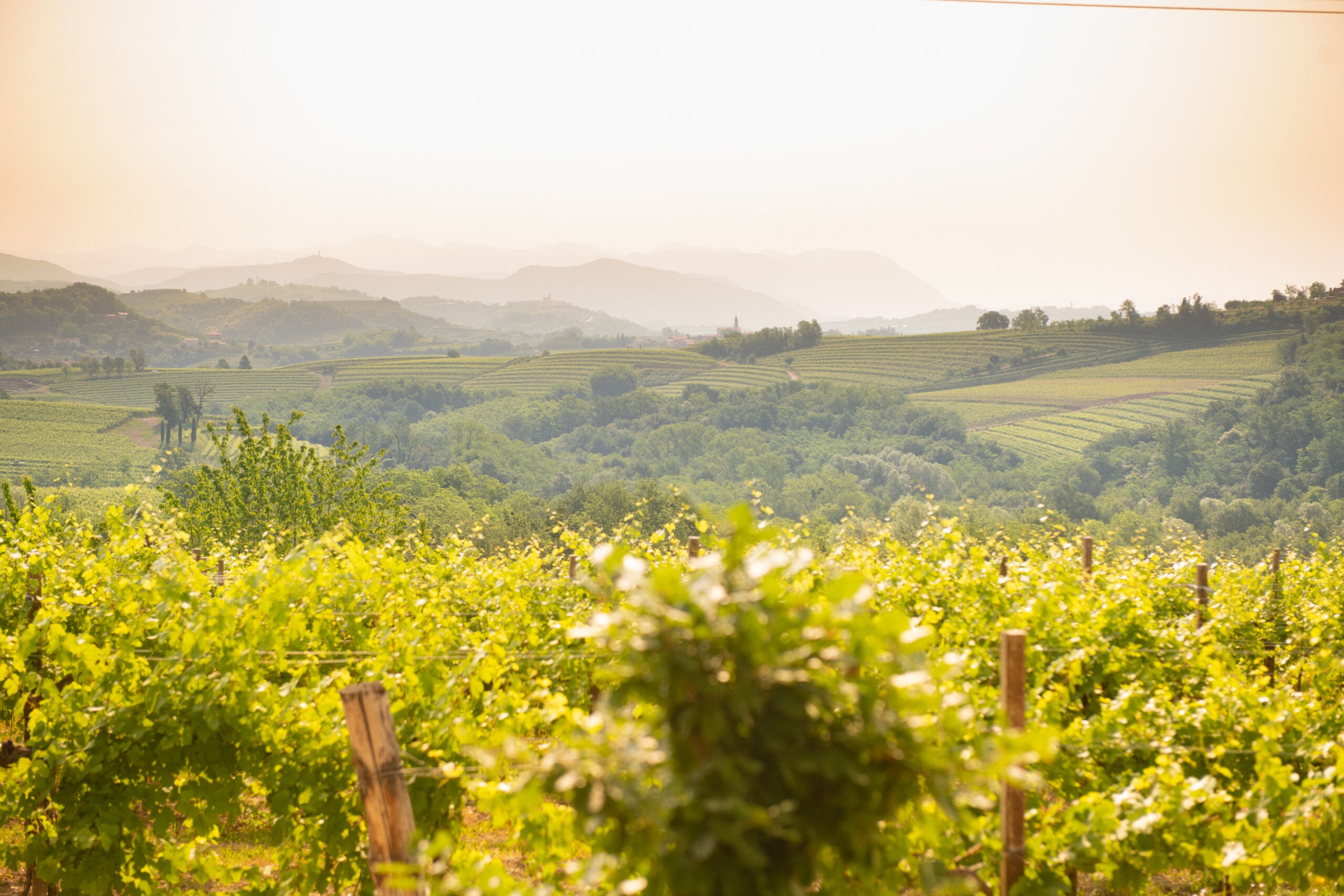Collio Region Map Collio: Italy's under-the-radar premium white wine region – Academie Du ...