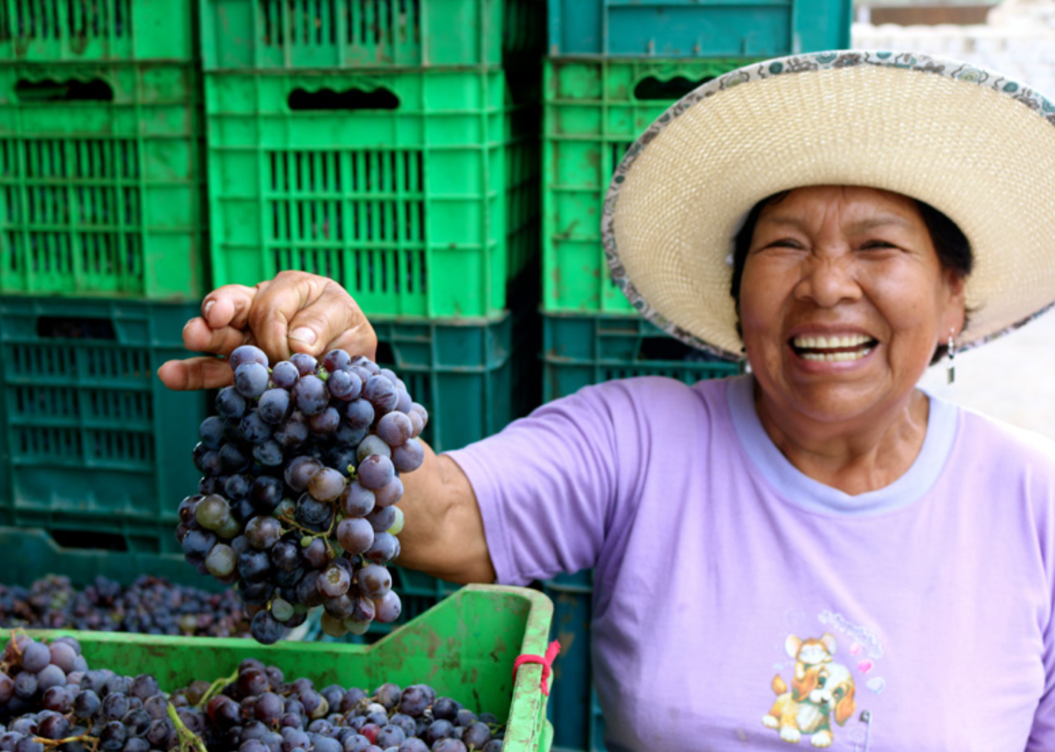 Think you know South American wine? Think again