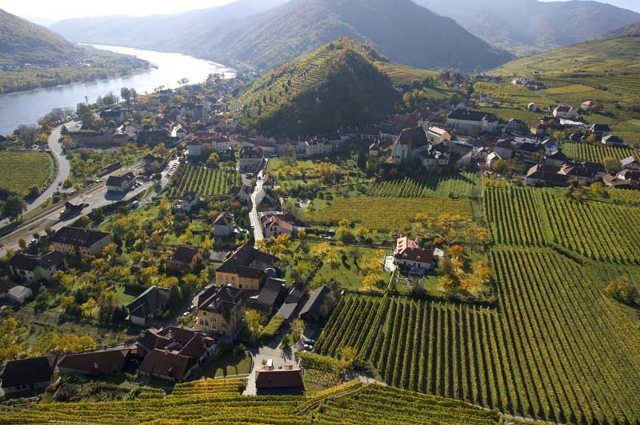 Wachau: Building a Drystone Wall in the Achleiten Vineyard