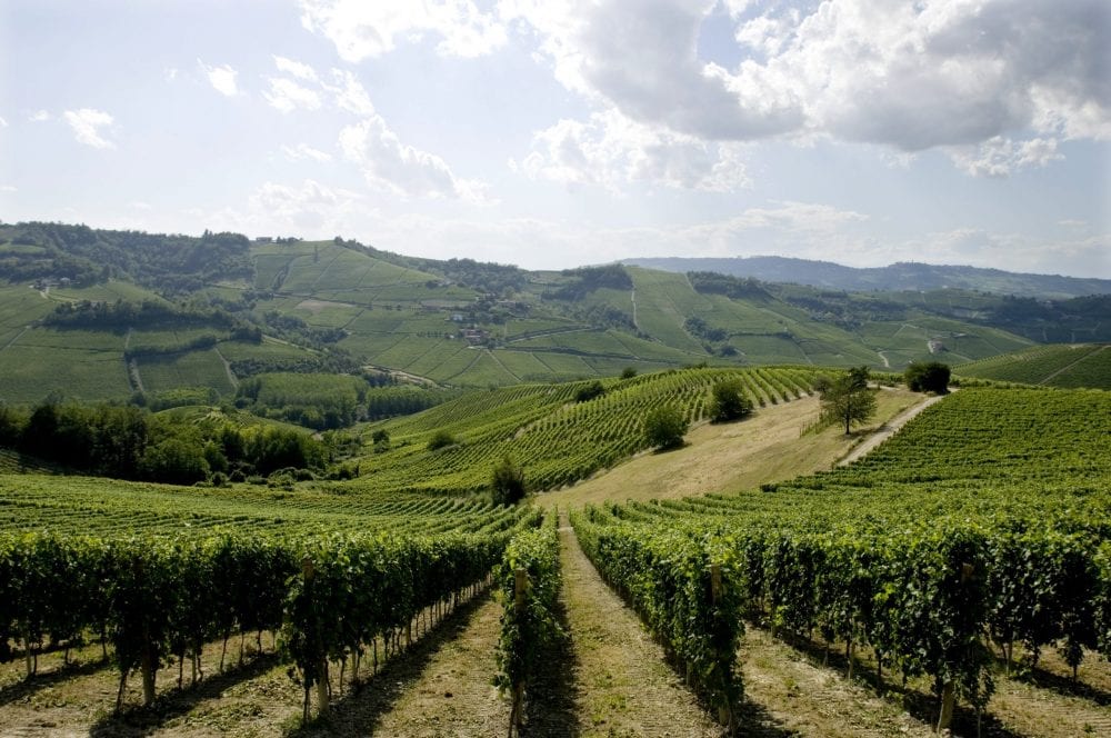 Barolo Vignarionda is a Whole Other Story