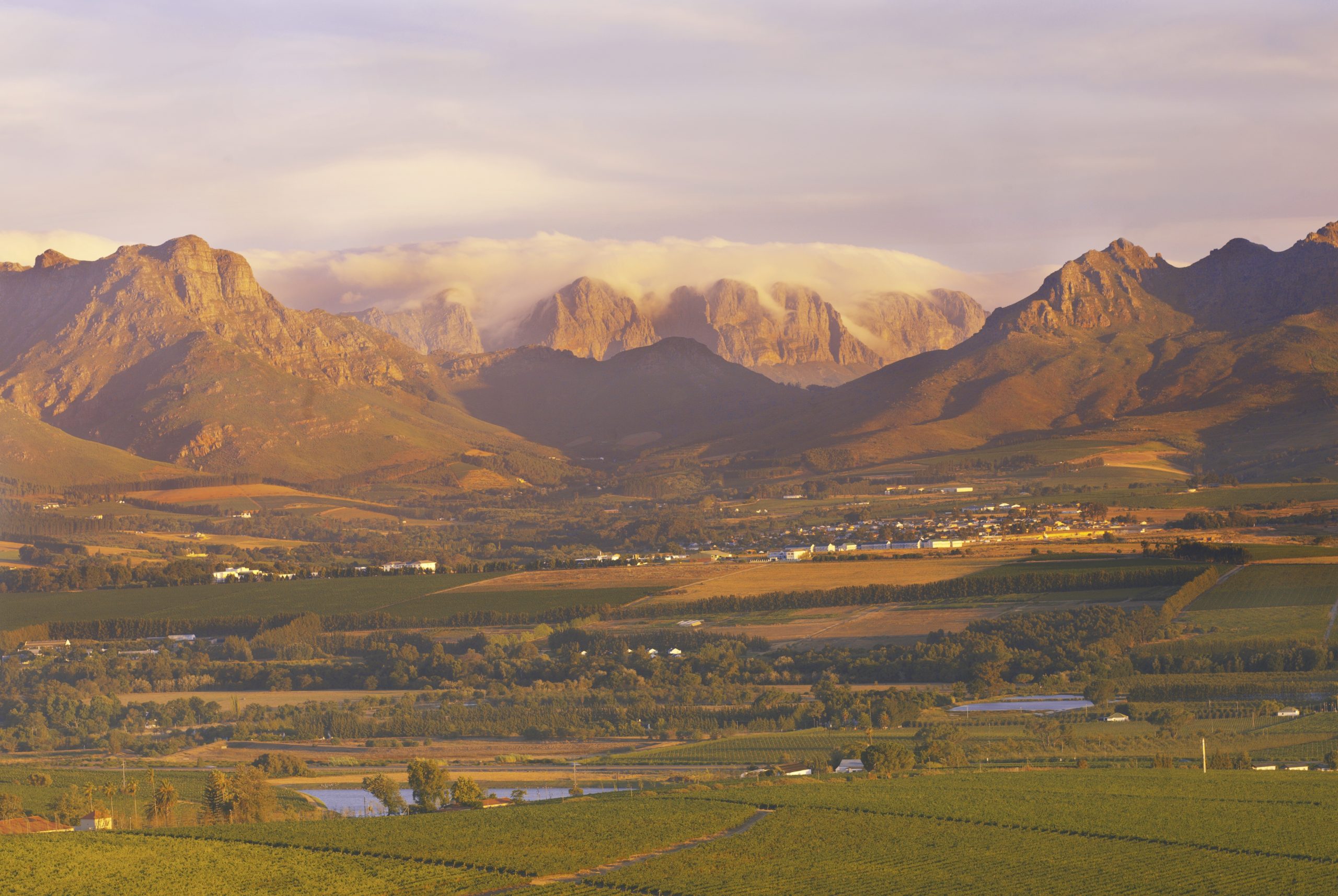 Stellenbosch: Too Perfect to be Interesting?