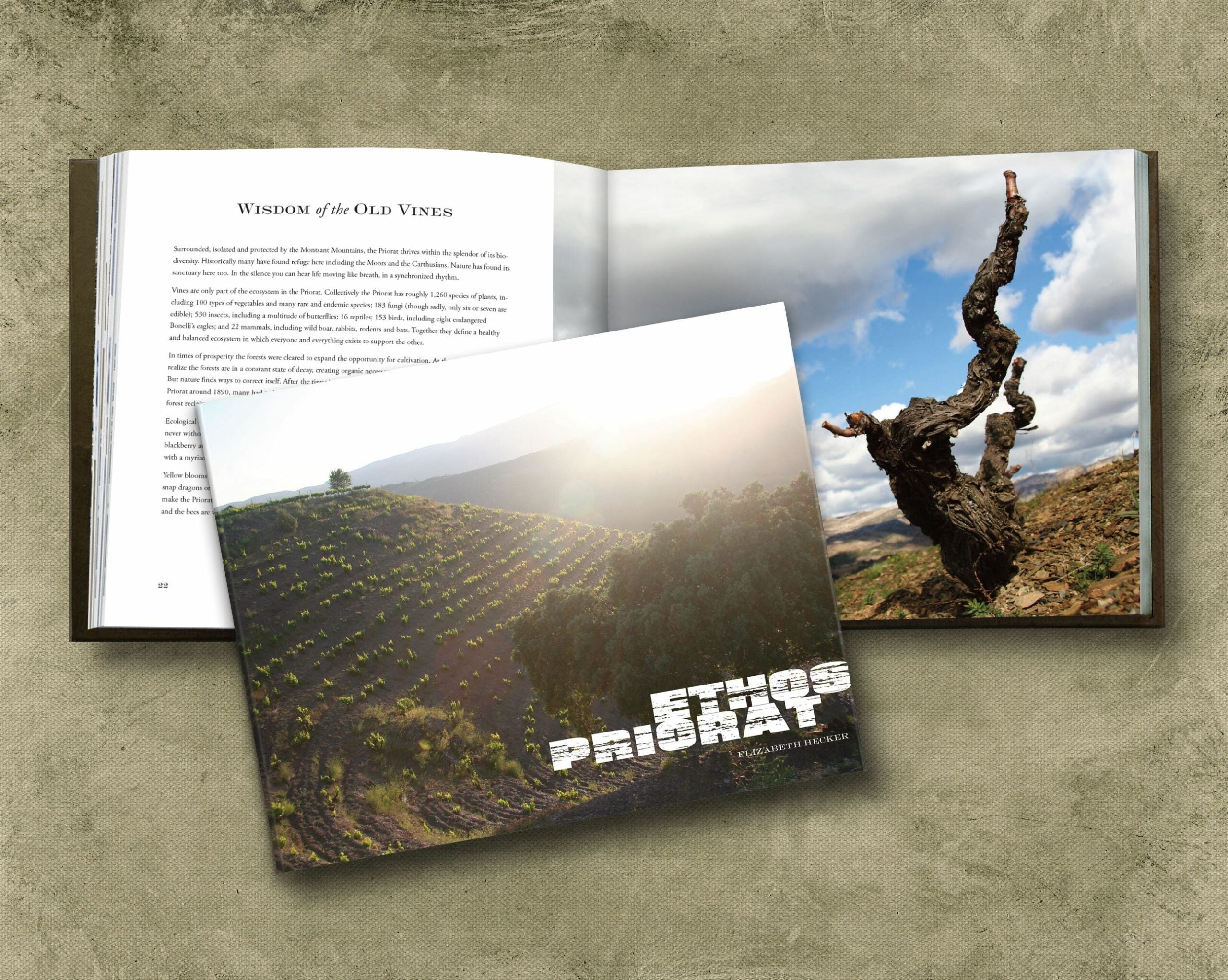 Ethos Priorat – a project 15 years in the making