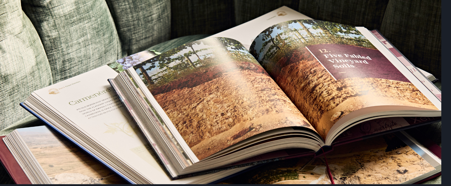Open wine books on the sofa