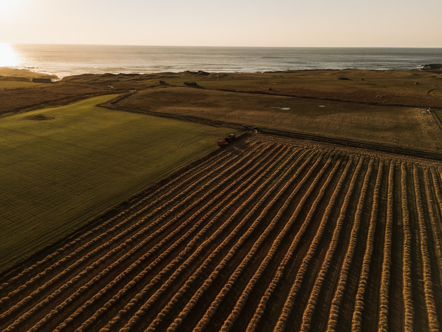 A wheat farm at dusk, with the ocean in the background, and farming vehicles 