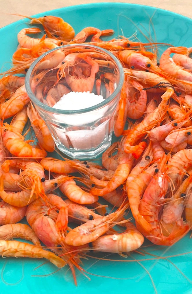 Vibrant fresh shrimp surrounding a glass of salt, on a bright turquoise plate.