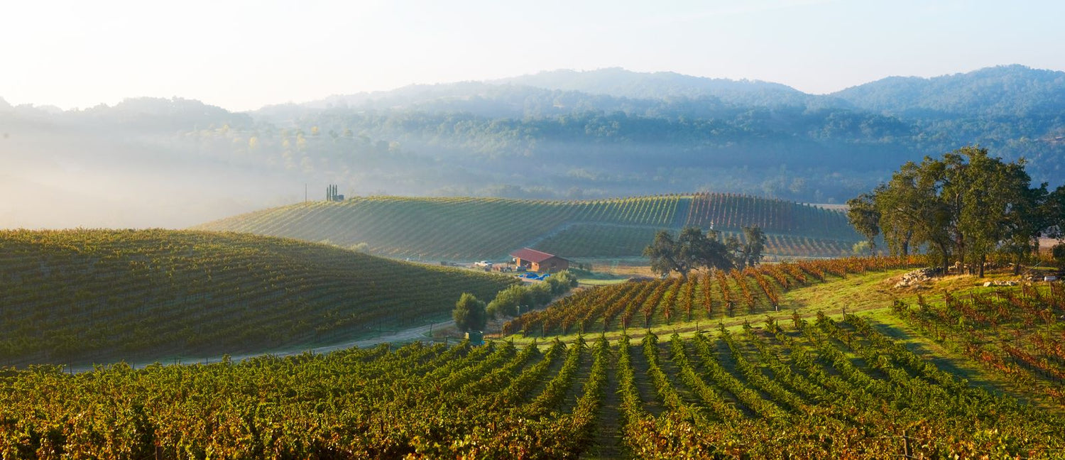 Picture credit: Tablas Creek Vineyard