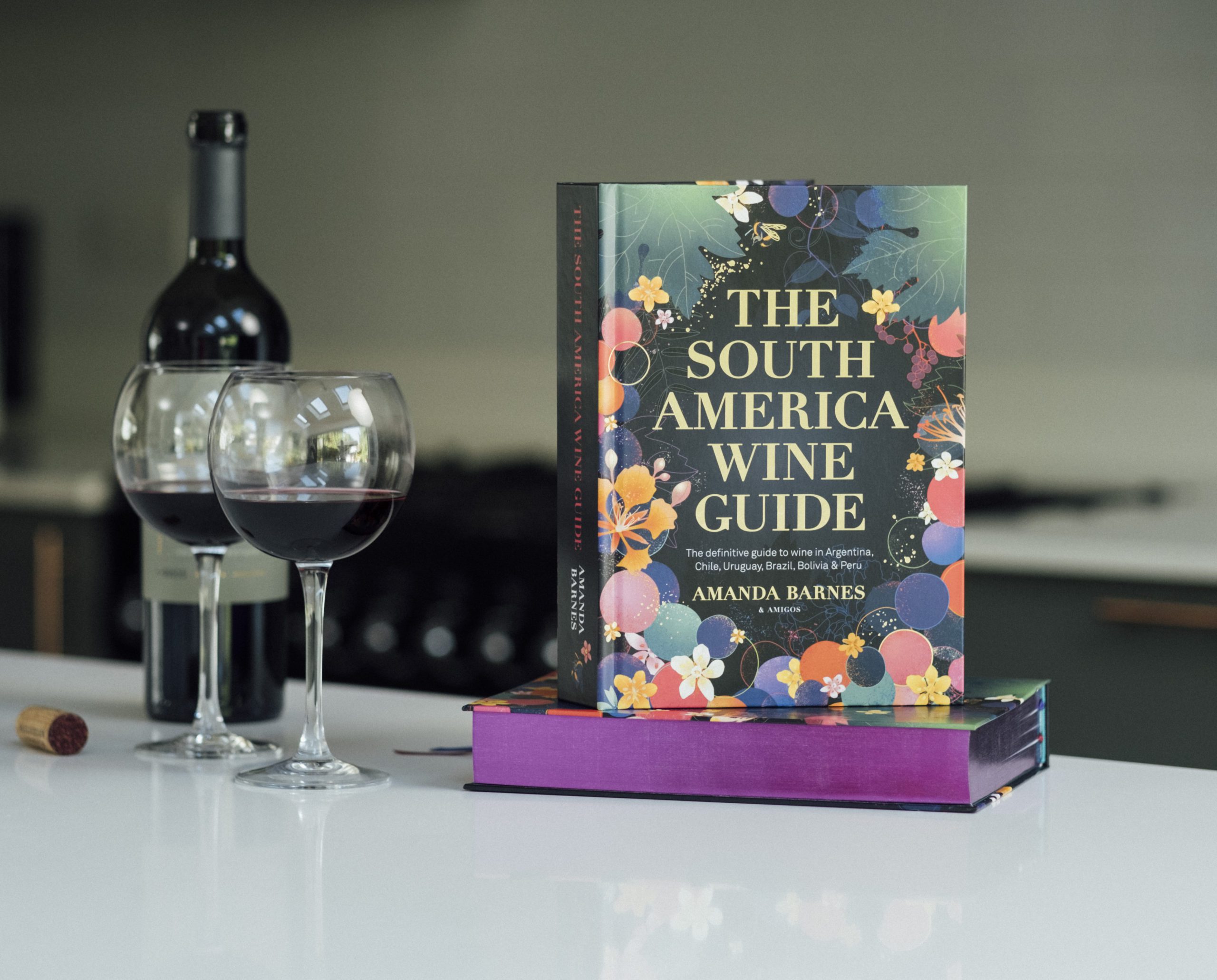 The South America Wine Guide – Academie Du Vin Library