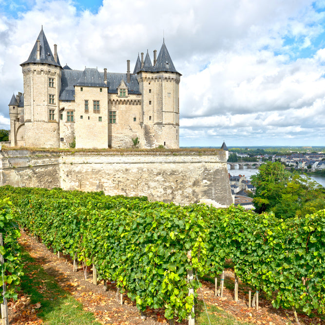 Loire valley chateau and winves
